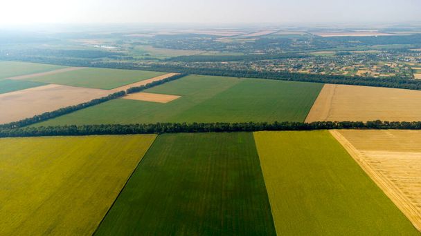 Aerial drone kilátás repülés különböző sárga és zöld mezőgazdasági területeken - Fotó, kép