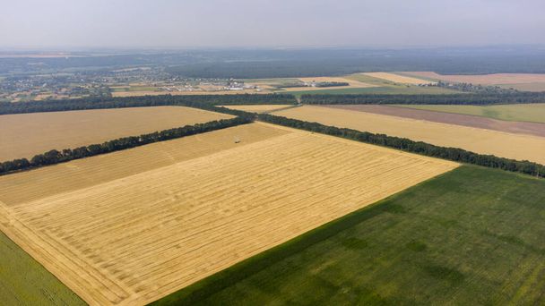 大きな黄色の小麦のフィールド上の空中ドローンビュー飛行 - 写真・画像