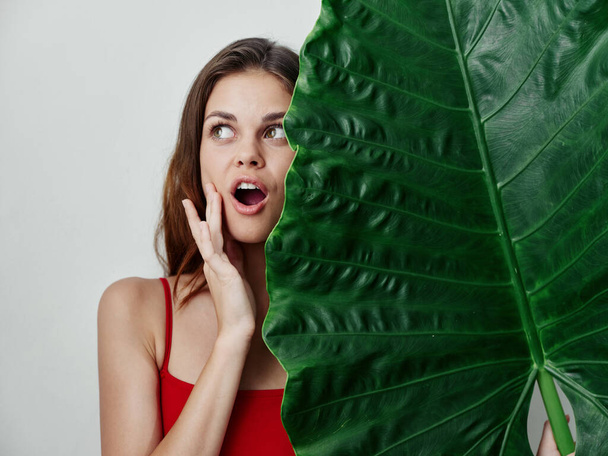 женщина в красном купальнике зеленый пальмовый лист экзотический взгляд на гламур - Фото, изображение