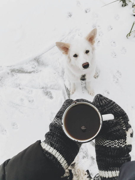 Χέρια σε ζεστά γάντια κρατώντας ζεστό φλιτζάνι τσάι στο παρασκήνιο του χαριτωμένο λευκό σκυλί στο χιονισμένο λίμνη το χειμώνα. Πεζοπορία και ταξίδια με λευκό ελβετικό τσοπανόσκυλο σε ψυχρή εποχή. Περιπλανώμενη επιθυμία. Άνω όψη - Φωτογραφία, εικόνα