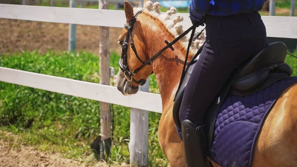木製の柵のすぐ隣に軽い茶色の馬の鞍の上にジョッキーが座っています - 写真・画像