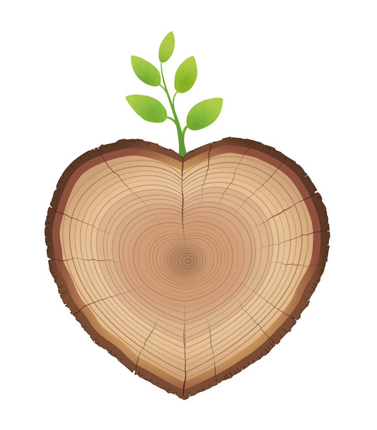 Fatia de árvore, em forma de coração, com broto jovem crescendo fora dela - tronco de madeira com raminho verde - símbolo para amar a natureza e o crescimento. Ilustração vetorial sobre fundo branco.  - Vetor, Imagem