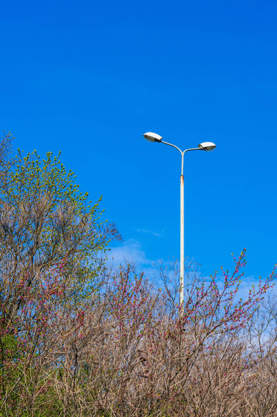 A vertical shot of street lights - Фото, изображение