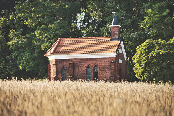 Eine alte Backsteinkirche auf dem Feld mit den Bäumen im Hintergrund - Foto, Bild