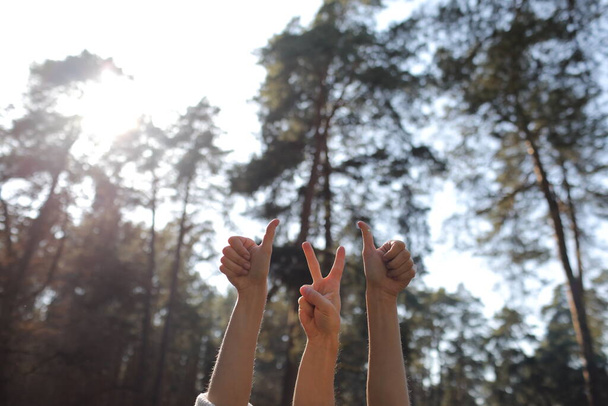 Hands gesturing thumbs up and v-sign on sunny green forest background. - Fotografie, Obrázek
