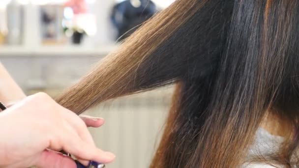 Egy fiatal nő fodrászhoz öltözik. Közelkép. A fodrász ollóval vágja a hosszú hajszálakat. Professzionális stylist vágás barna haj ollóval. 4 k - Felvétel, videó