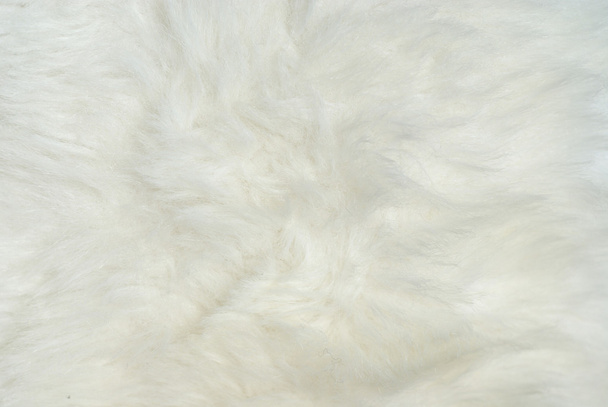 白い毛皮のコートのクローズ アップ - 写真・画像