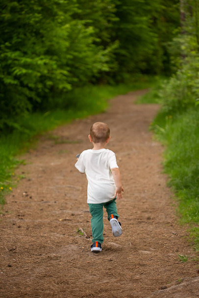 Caucasian boy of 3 years old runs away from the forest path deep into the forest - Foto, afbeelding