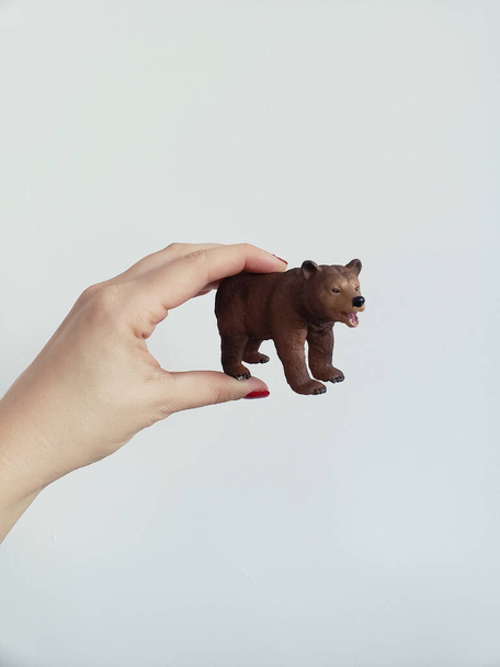 A small bear toy held by a woman's hand - 写真・画像