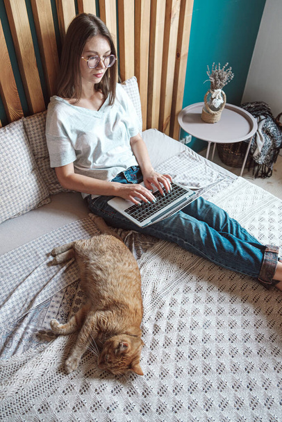 Young woman using laptop to work, lying on the bed with a pet cat in the bedroom, at home. Flexible hours and remote work - Foto, Bild