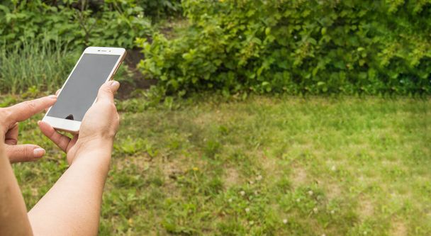 Lähikuva naisen käden älypuhelimella lähettää viestin taustaa vasten vihreää ruohoa puutarhassa kesällä. - Valokuva, kuva