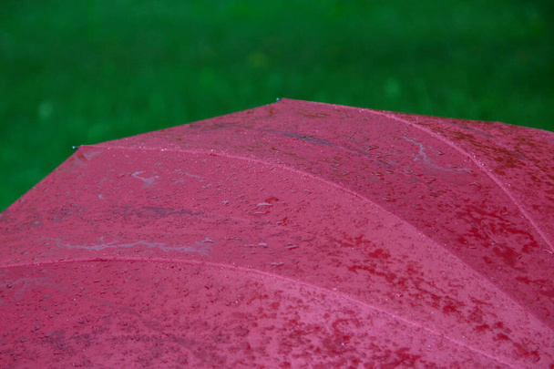 Duży czerwony parasol z kroplami wody po deszczu - Zdjęcie, obraz