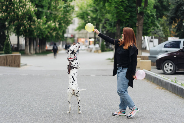 Woman discussing and training her dalmatian pet in the city - Foto, Bild