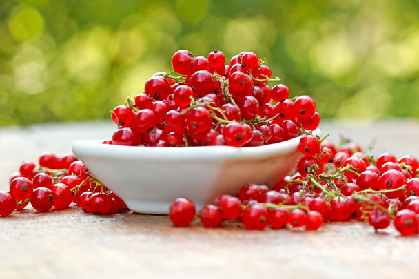 Organic red currant in bowl - Фото, зображення