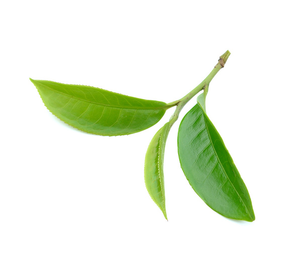 tea leaf isolated on white background - Fotografie, Obrázek