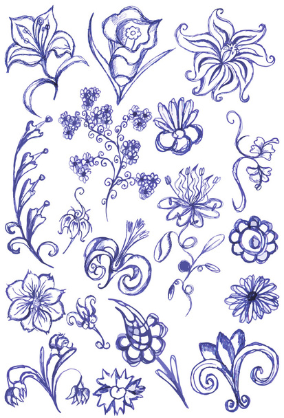 Desenho de flores uma caneta azul
. - Vetor, Imagem