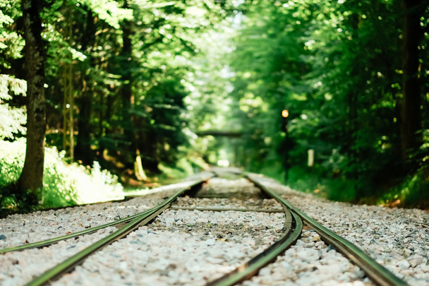 Railway tracks - 写真・画像