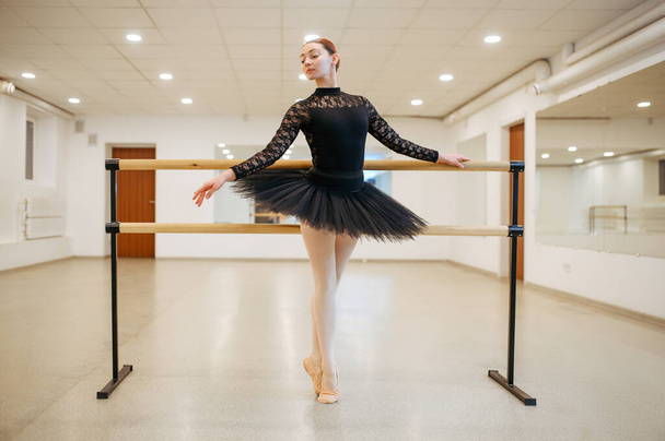 Ballerina poses at the barre in class. Ballet school, female dancers on choreography lesson, girls practicing grace dance - 写真・画像