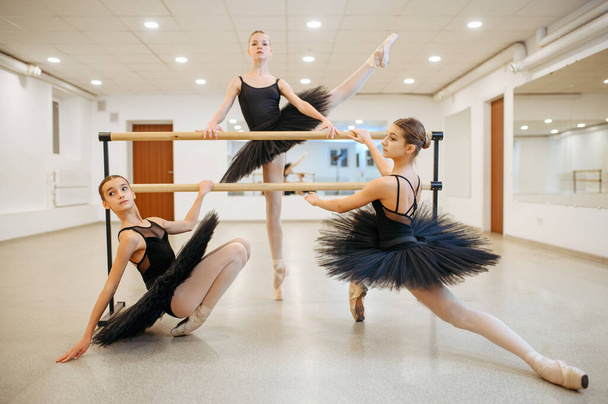 Elegant teen ballerinas poses at the barre in class. Ballet school, female dancers on choreography lesson, girls practicing grace dance - Fotografie, Obrázek