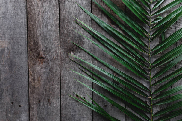 green leaves on wooden background - Zdjęcie, obraz
