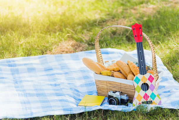 Picnic wattled basket with bread food and fruit, Ukulele, a retro camera on blue cloth in green grass garden with copy space at sunny summertime - Fotó, kép