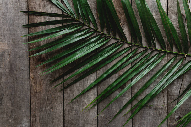 tropical palm leaves on wooden background - Zdjęcie, obraz