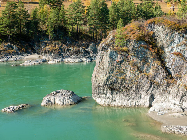 Jesienny widok z turkusowej rzeki Katun i skał. Chemia, Republika Ałtajska, Rosja. - Zdjęcie, obraz