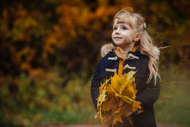 ritratto di simpatiche bambine in abito autunnale con foglie d'acero in mano - Foto, immagini
