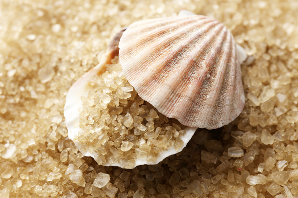 Sea salt and seashell - Fotoğraf, Görsel