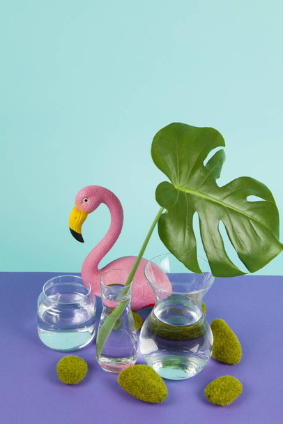 transparent glass vases filled with water and a branch of monstera deliciosa inside in front of a plastic pink flamingo on a turquoise and purple background with moss rock. Play of light and transparency. Minimal still life color photography - Foto, afbeelding