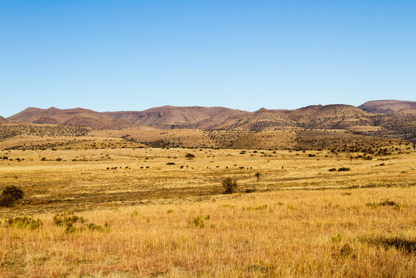 南アフリカ共和国のマウンテン・ゼブラ国立公園:地形や植生の種類のアイデアを与える風景の一般的なビュー - 写真・画像