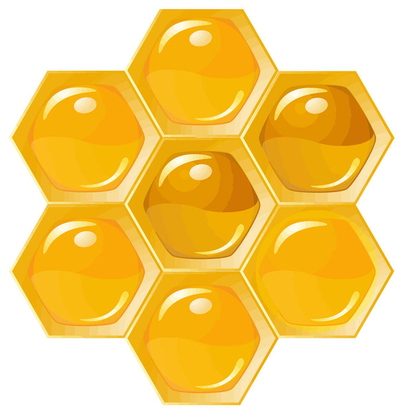 honey bee vector illustration - Φωτογραφία, εικόνα