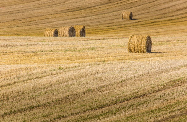 Heuballen auf dem Feld nach der Ernte, Polen  - Foto, Bild