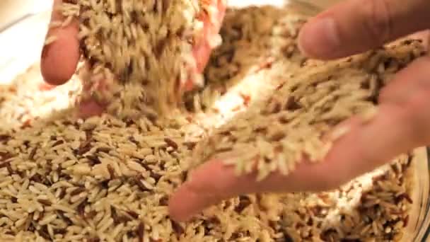 χέρια που διατρέχει ξηρά δημητριακά - Πλάνα, βίντεο