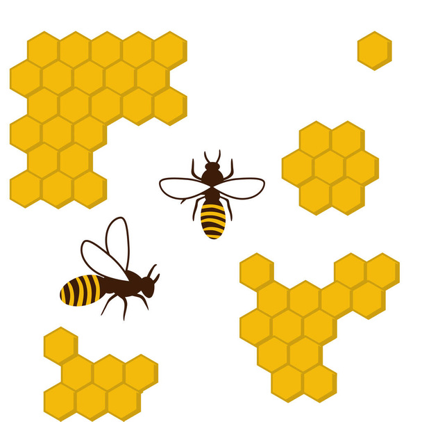 beehive honeycomb bee food sweet   honey  natural illustration - Фото, изображение