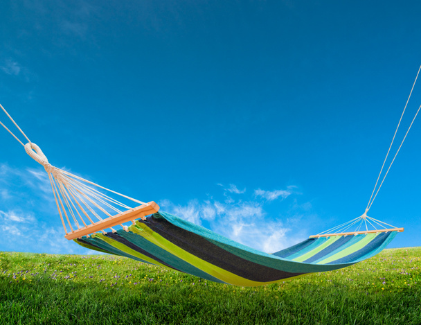 hammock in backyard - Photo, Image