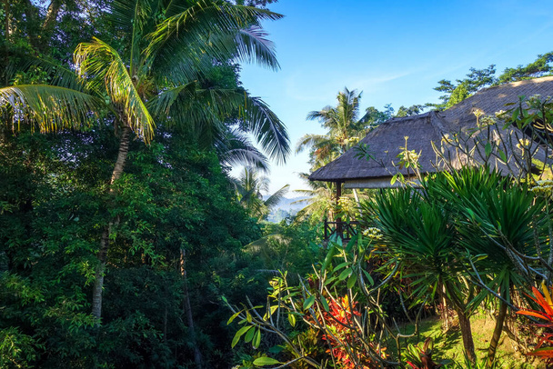 Traditional house in jungle rain forest, Sidemen, Bali, Indonesia - Foto, Bild