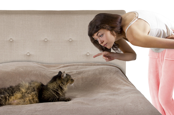 Cat is on a teenage girl's bed - 写真・画像
