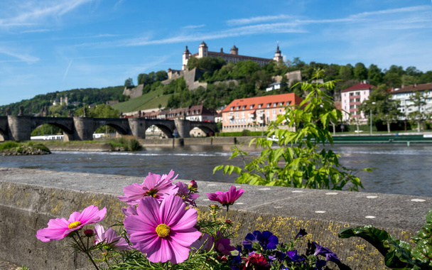 Fortress Marienberg with the river Main in the german city Wuerzburg with cloudy sky - 写真・画像