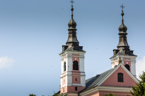 Церковь и монастыри Камальдольского монастыря в Вигры, Польша
  - Фото, изображение