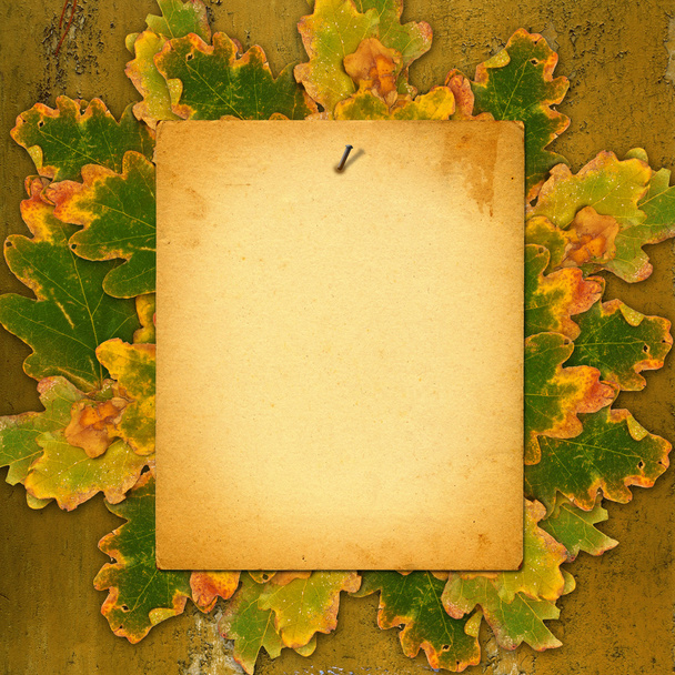 Old paper listing on rusty metal wall with bright orange autumn  - Φωτογραφία, εικόνα