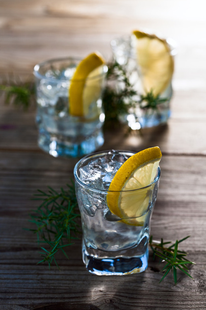 Gin mit Zitrone und Eis  - Foto, Bild