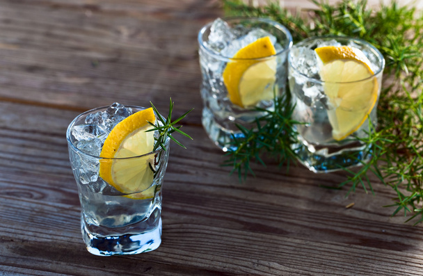 Gin, citrom, és a jég  - Fotó, kép