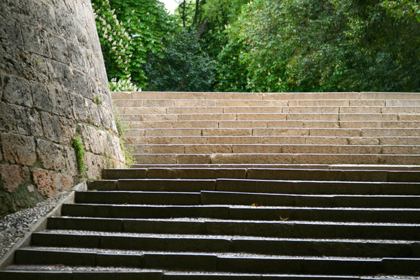 stairs in the park - Foto, Bild