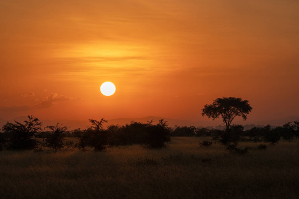 Imagen panorámica, amanecer en los Parques Nacionales de Uganda - Foto, imagen