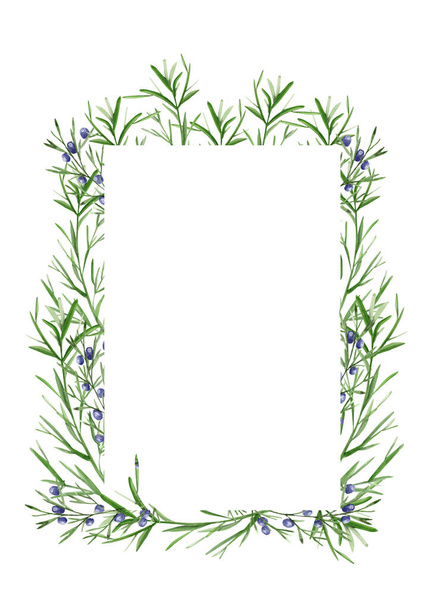 Juniper postcard frame from branches watercolor template. Template for decorating designs and illustrations. - Fotoğraf, Görsel