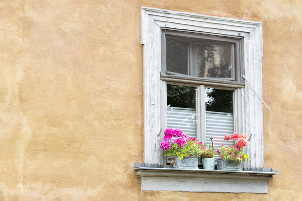 Old window with flower pots - Foto, imagen