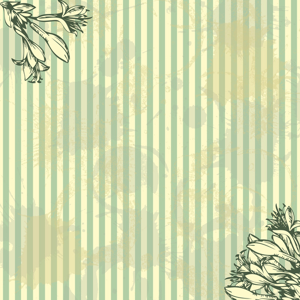 Vintage floral background - Vector, Image