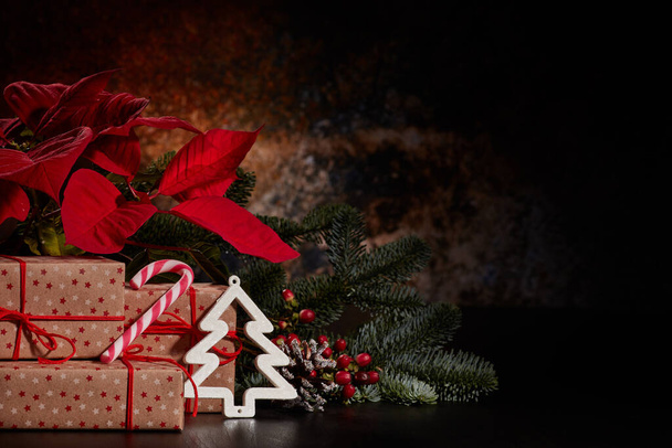 Christmas decoration with Red Poinsettia flowers (Euphorbia Pulcherrima), fir branch and gift boxes on a dark background. New year and Christmas background with copy space. Greeting card. - Foto, immagini