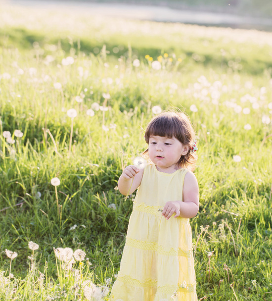 little girl with dandelions - Фото, изображение